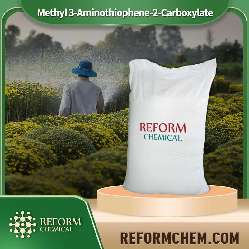 methyl 3 aminothiophene 2 carboxylate