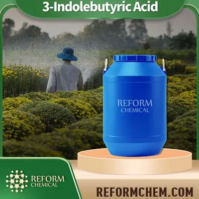 3-Indolebutyric Acid