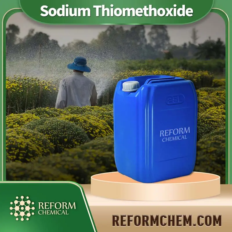 sodium thiomethoxide