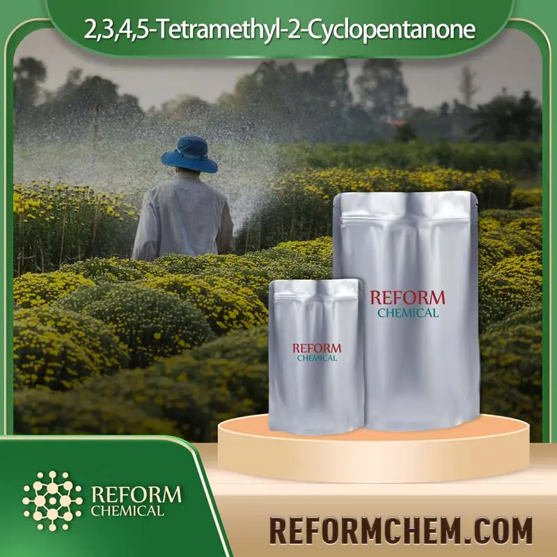 2 3 4 5 tetramethyl 2 cyclopentanone