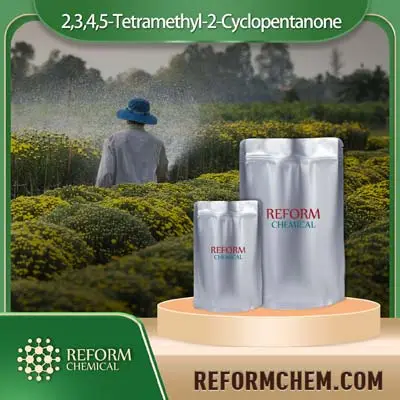 2,3,4,5-Tetramethyl-2-Cyclopentanone