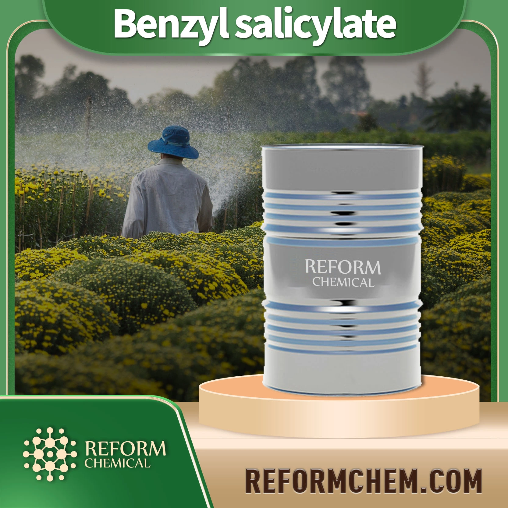 benzyl salicylate 118 58 1