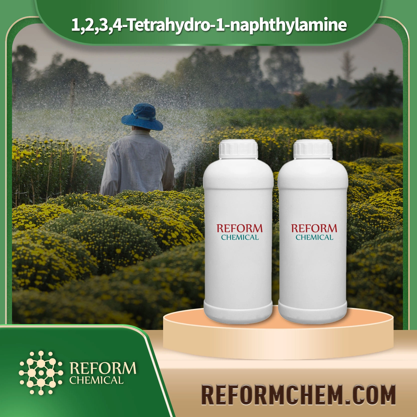 1234 tetrahydro 1 naphthylamine 2217 40 5