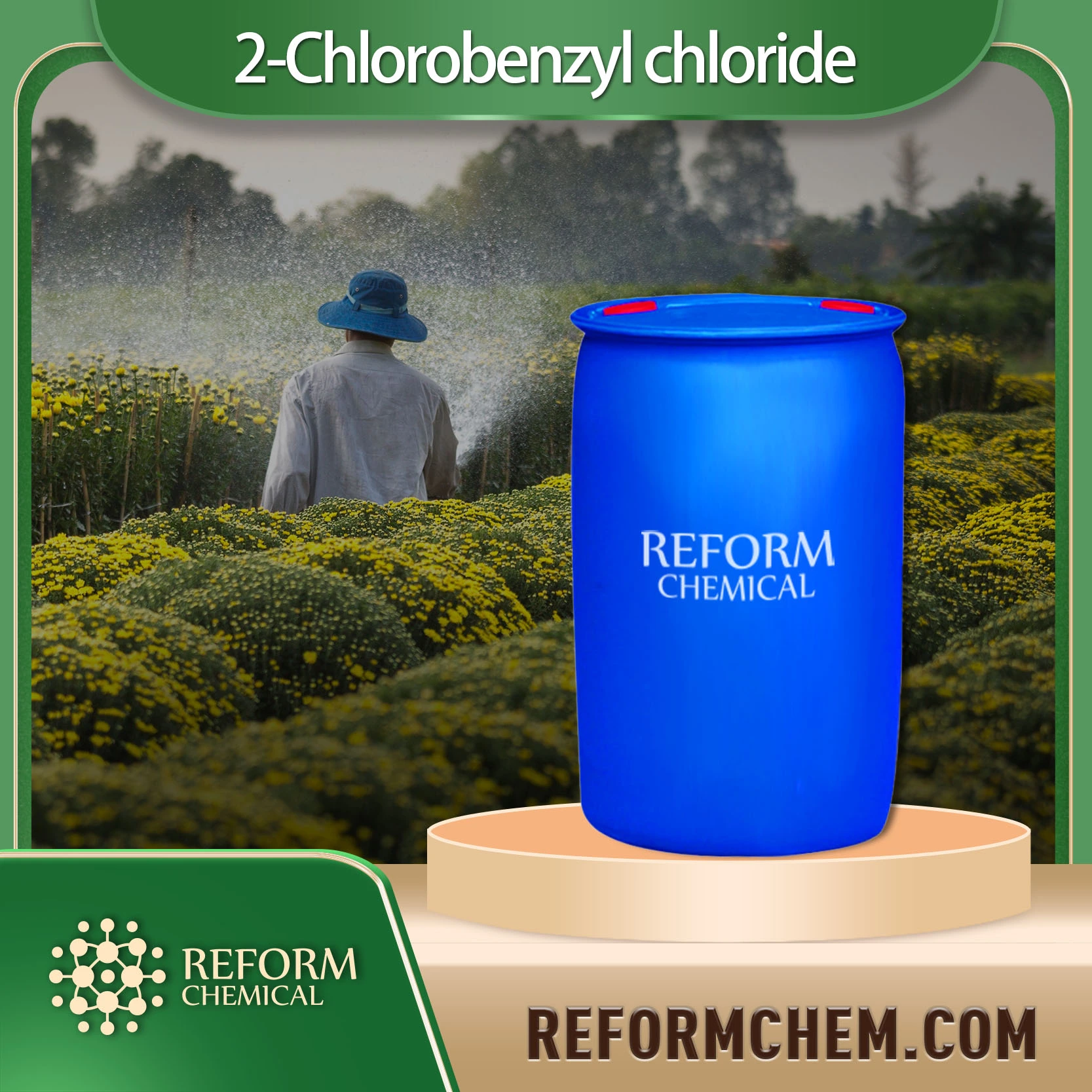 2 chlorobenzyl chloride 611 19 8
