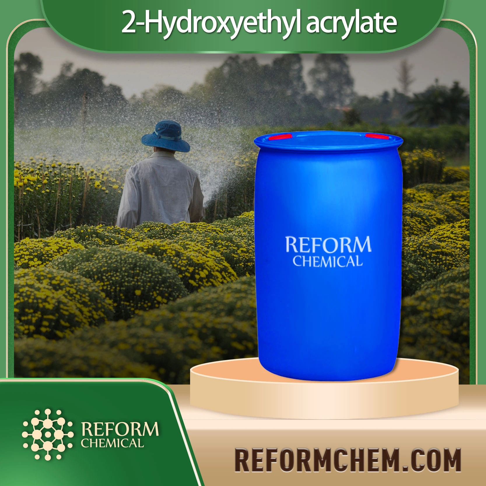 2 hydroxyethyl acrylate