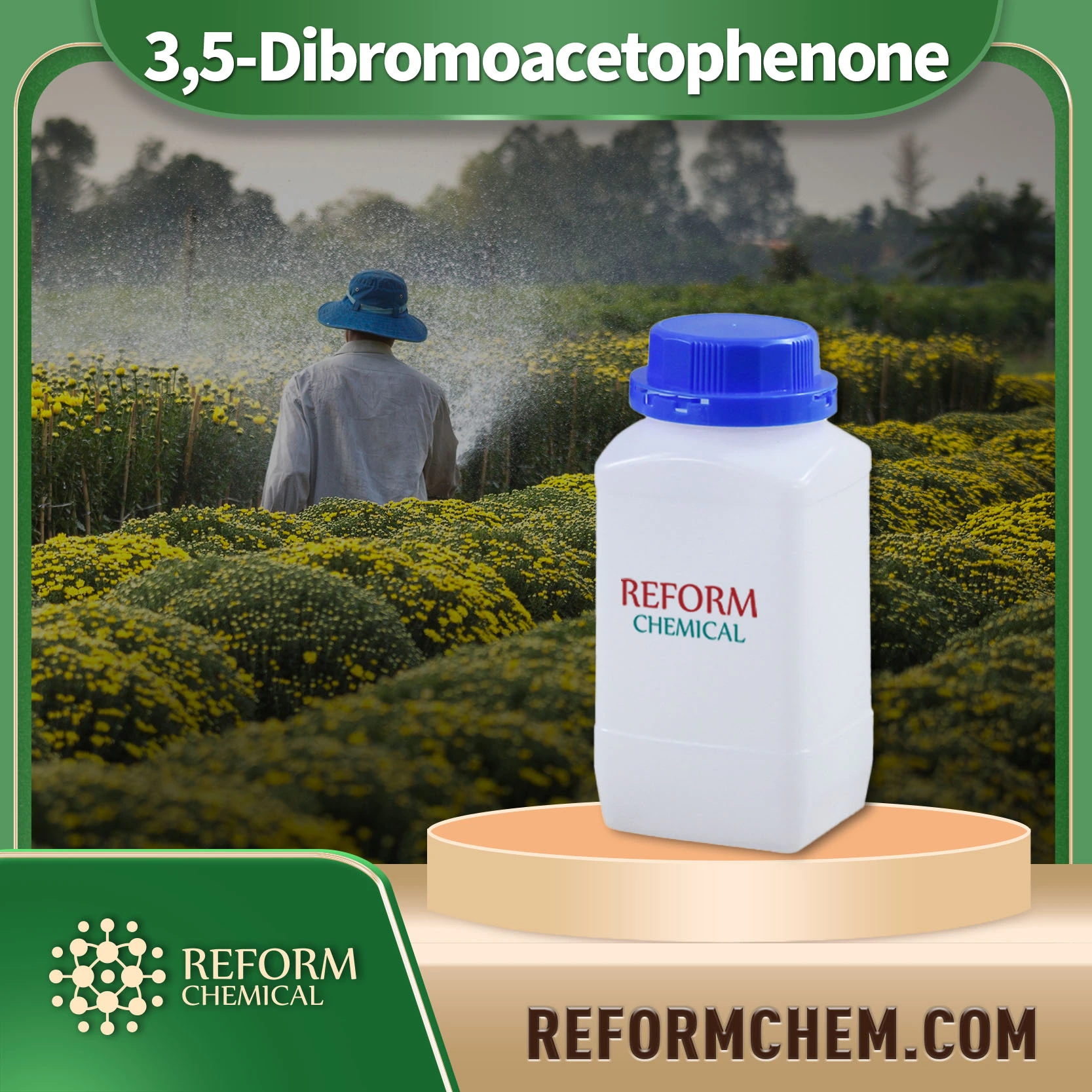 3 5 dibromoacetophenone 14401 73 1