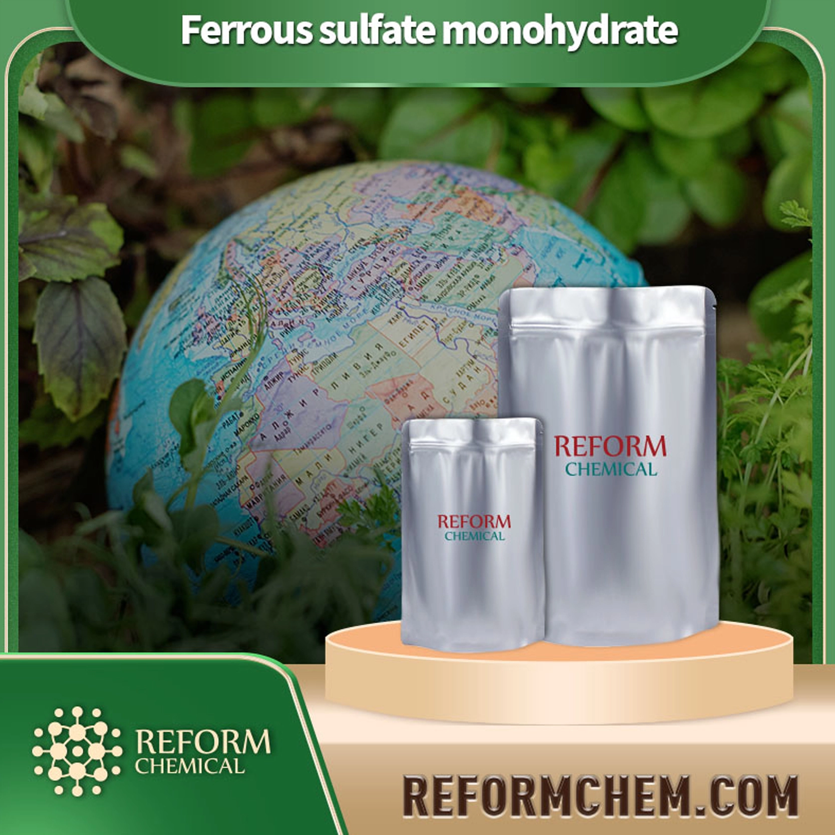 ferrous sulfate monohydrate 13463 43 9
