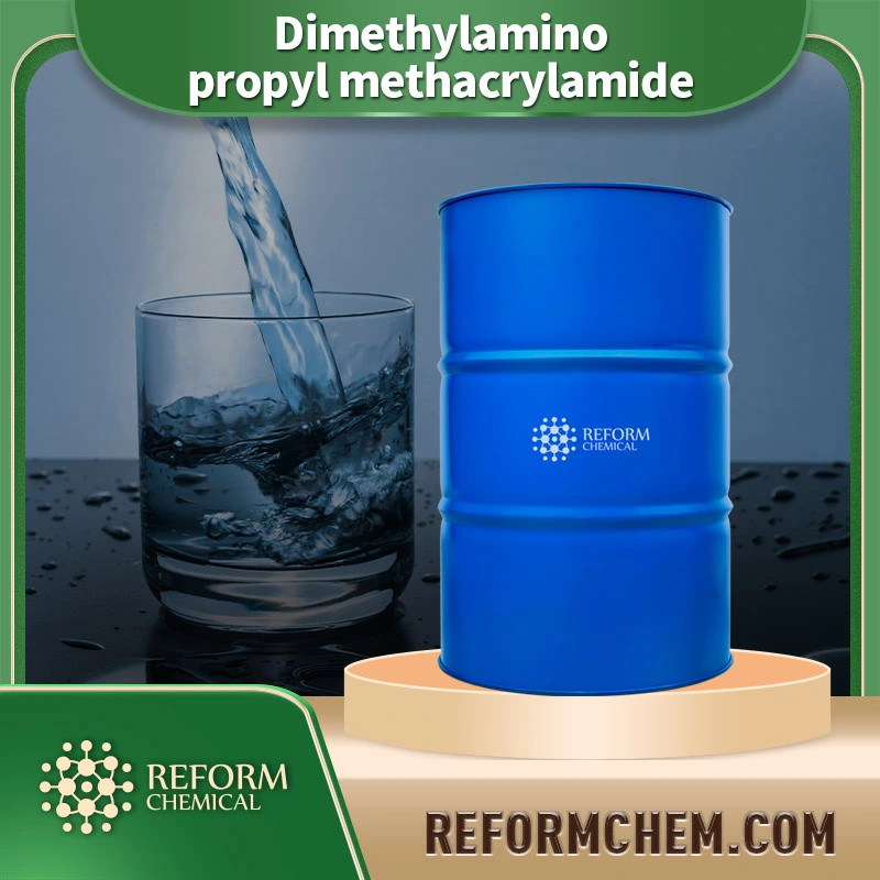 dimethylamino propyl methacrylamide