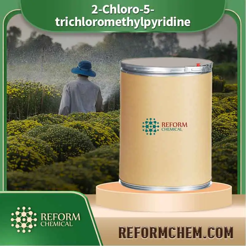 2 chloro 5 trichloromethylpyridine 69045 78 9