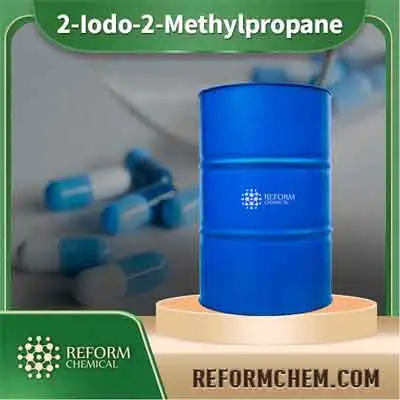 2-Iodo-2-Methylpropane