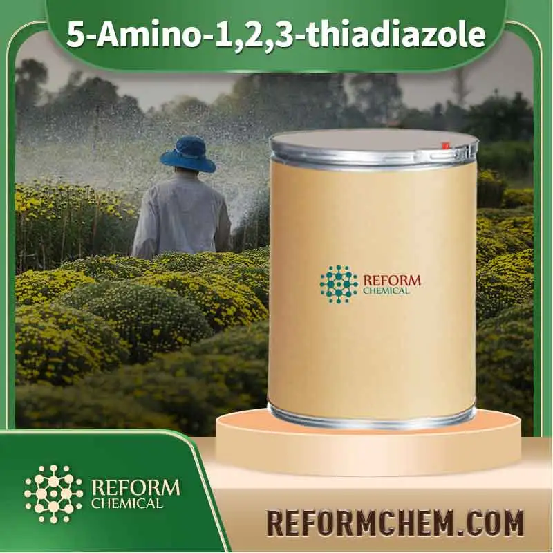 5 amino 123 thiadiazole 4100 41 8