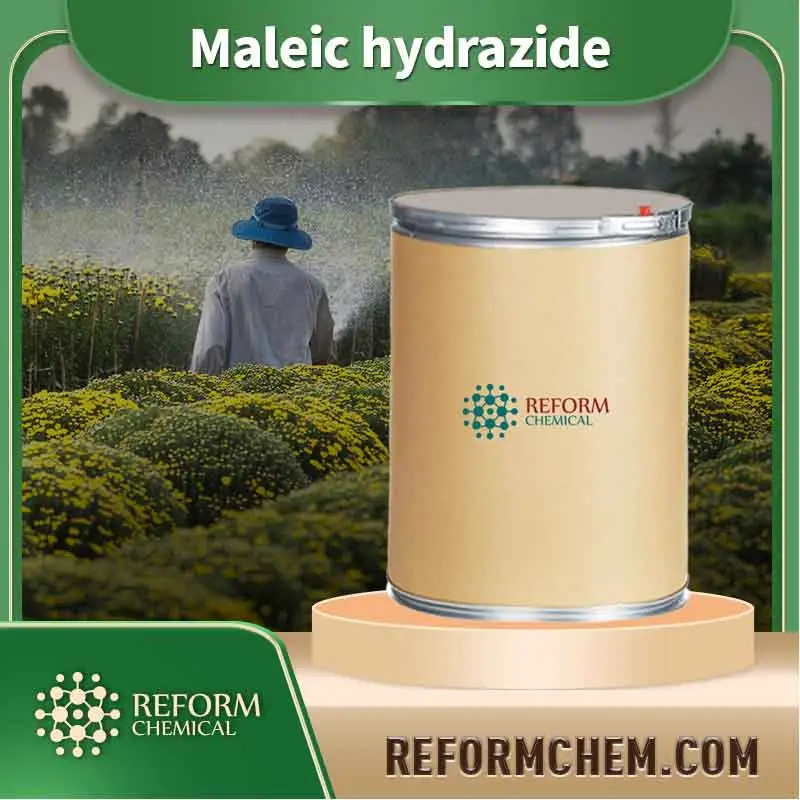 maleic hydrazide 123 33 1