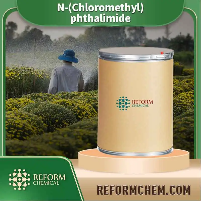 n chloromethyl phthalimide 17564 64 6
