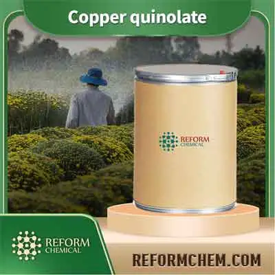 Copper quinolate