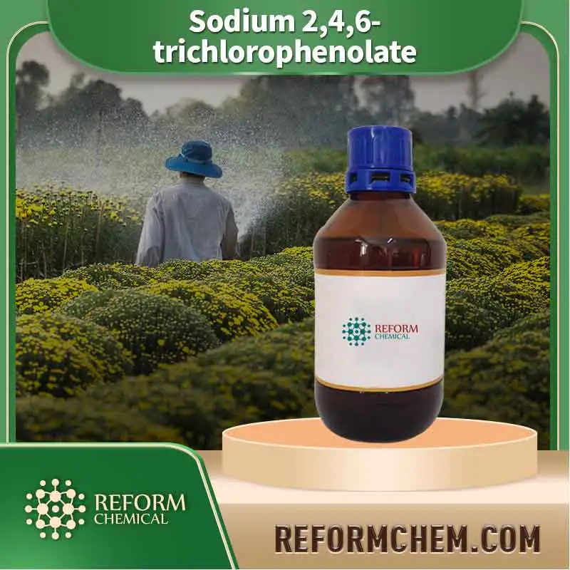 sodium 246 trichlorophenolate 3784 03 0