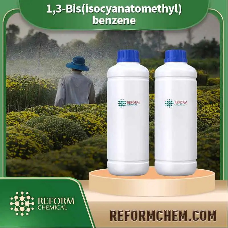 13 bis isocyanatomethyl benzene 3634 83 1