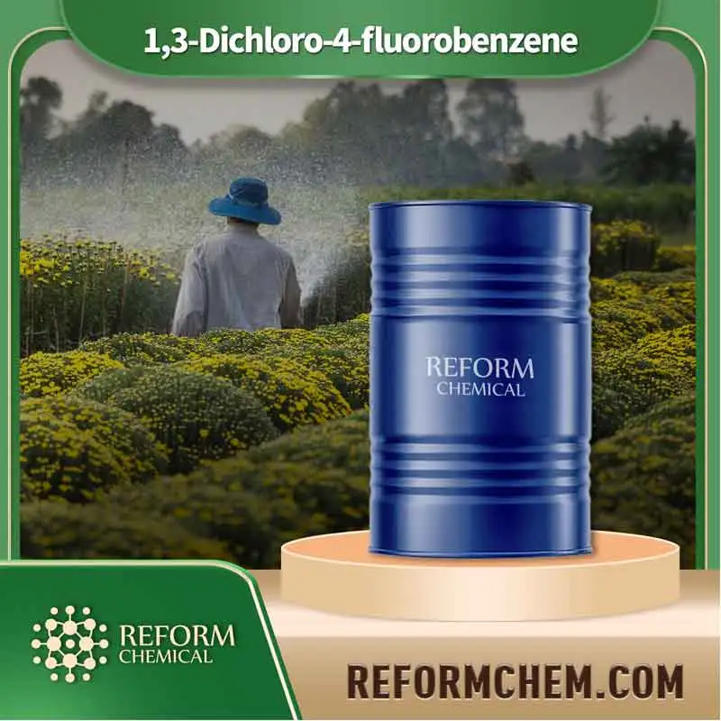 13 dichloro 4 fluorobenzene 1435 48 9