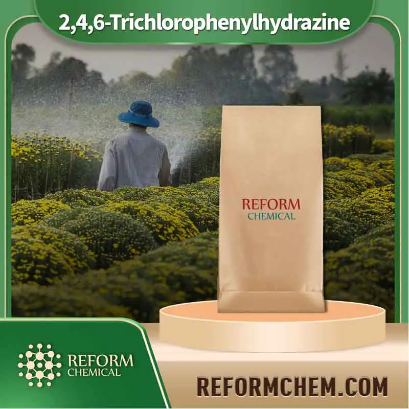246 trichlorophenylhydrazine 5329 12 4