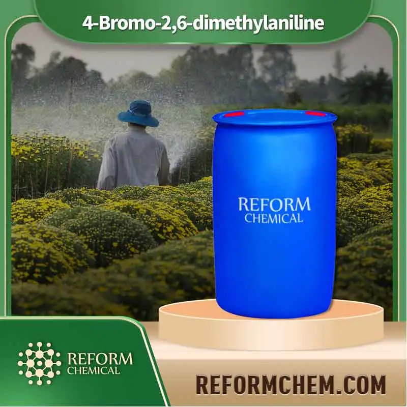 4 bromo 26 dimethylaniline 24596 19 8