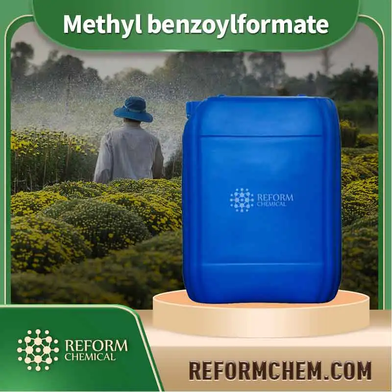 methyl benzoylformate 15206 55 0