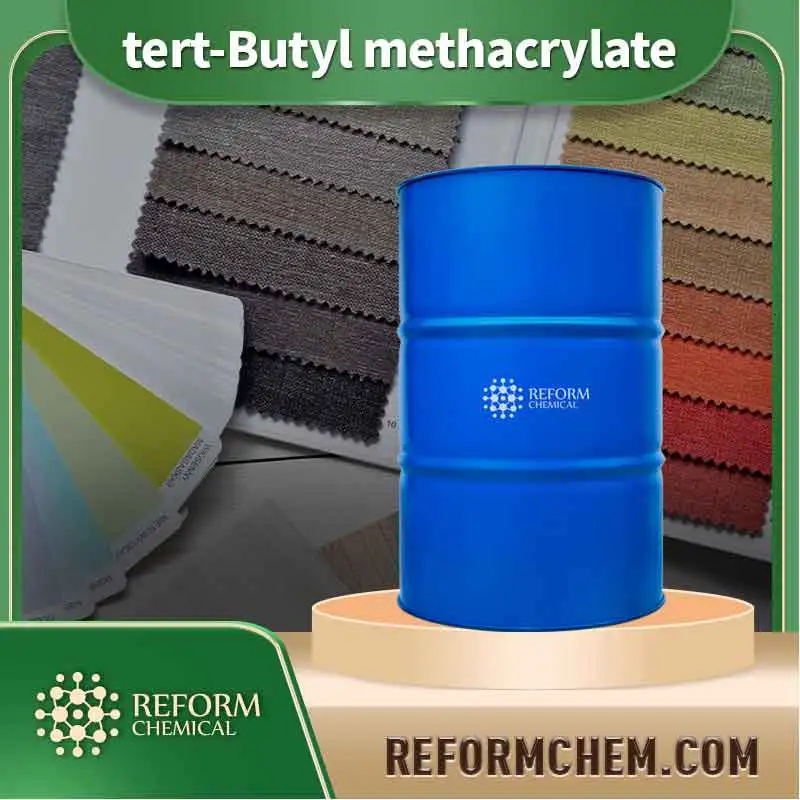 tert butyl methacrylate 585 07 9