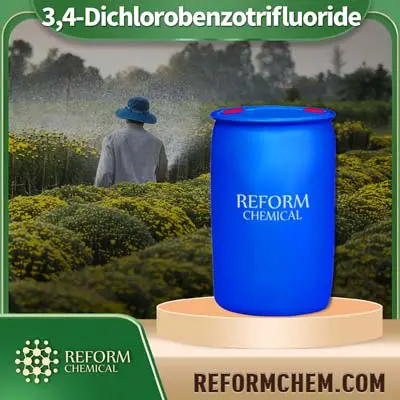 3,4-Dichlorobenzotrifluoride