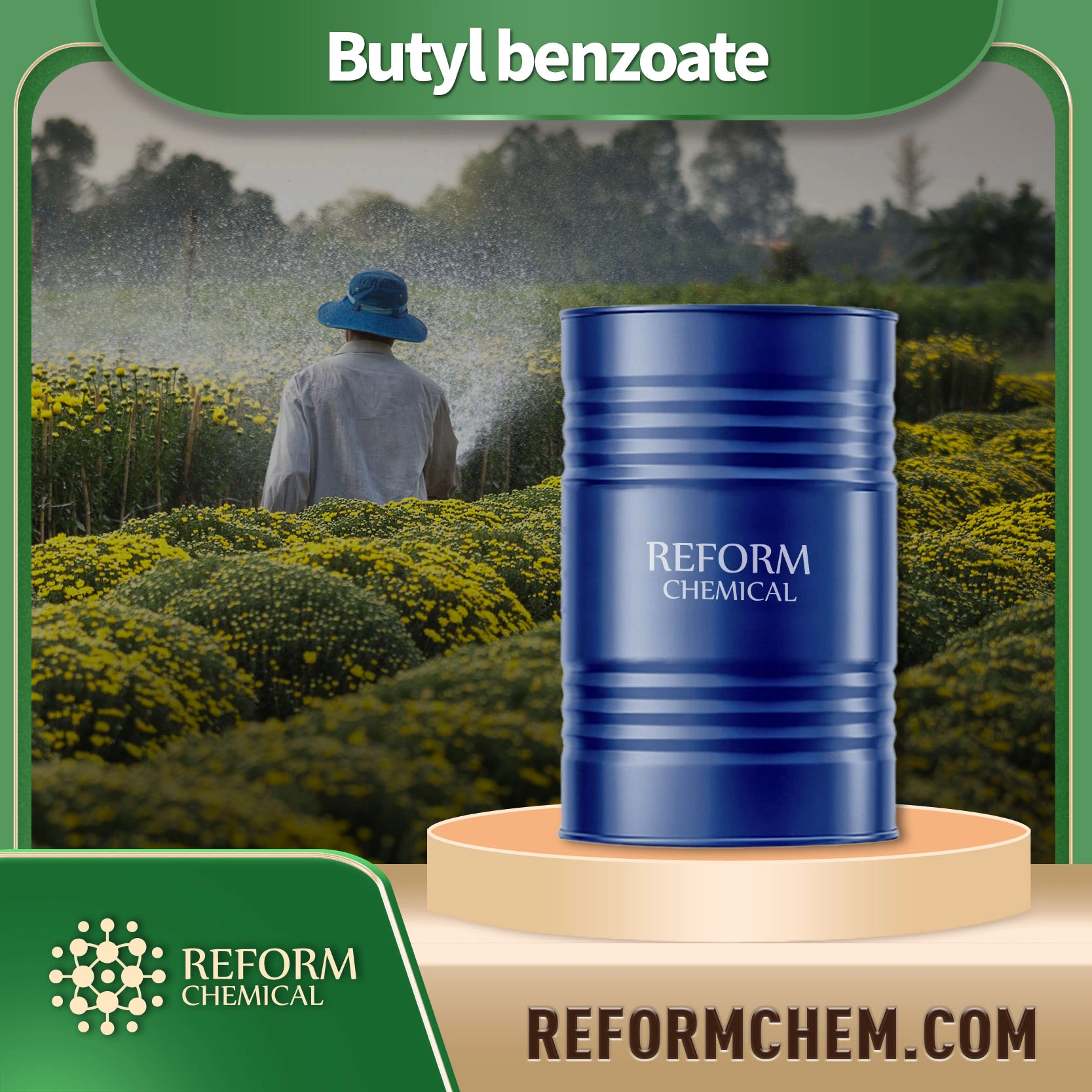 Butyl benzoate