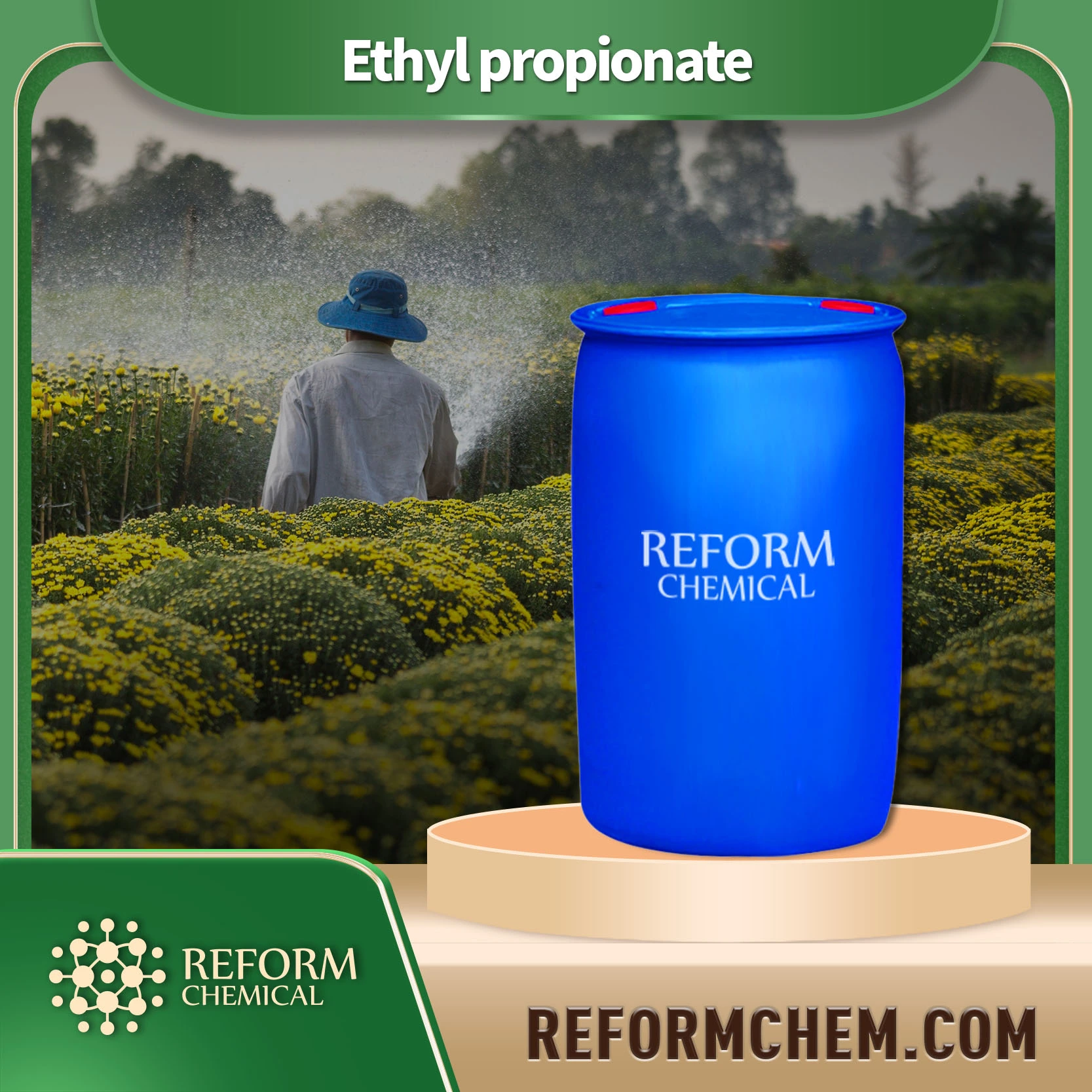 Ethyl propionate