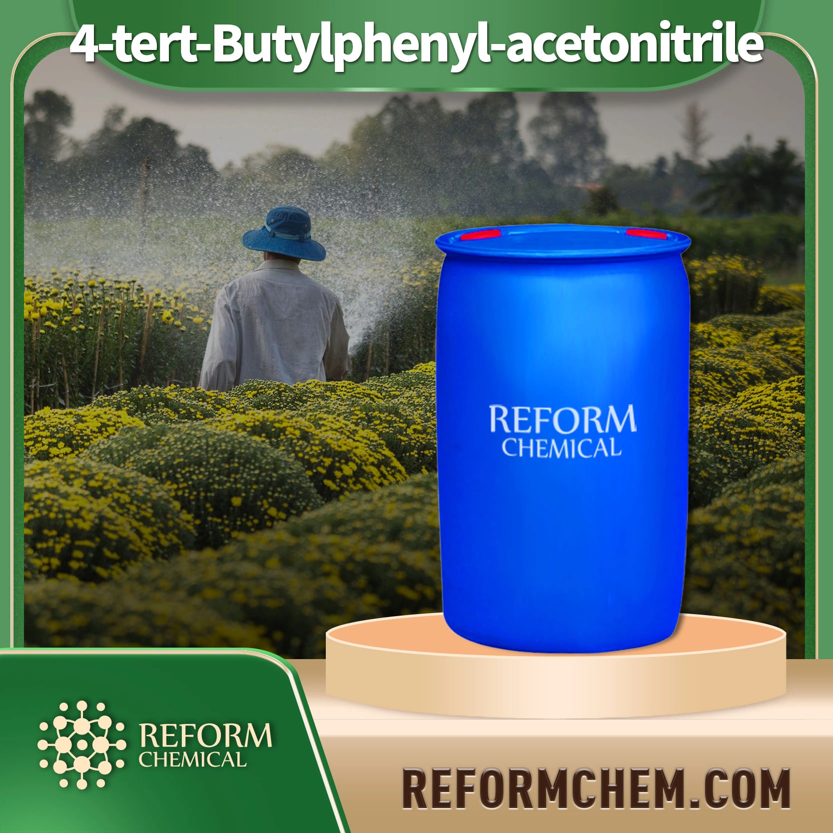 4-tert-Butylphenyl-acetonitrile