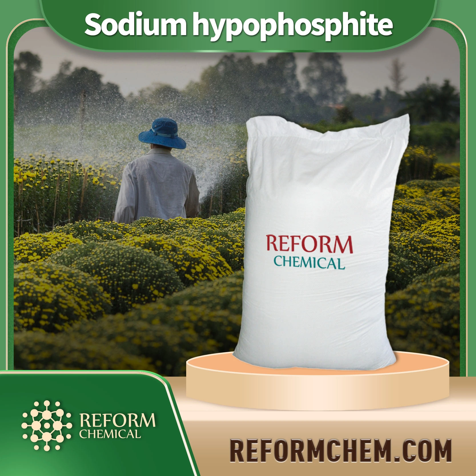 Sodium hypophosphite