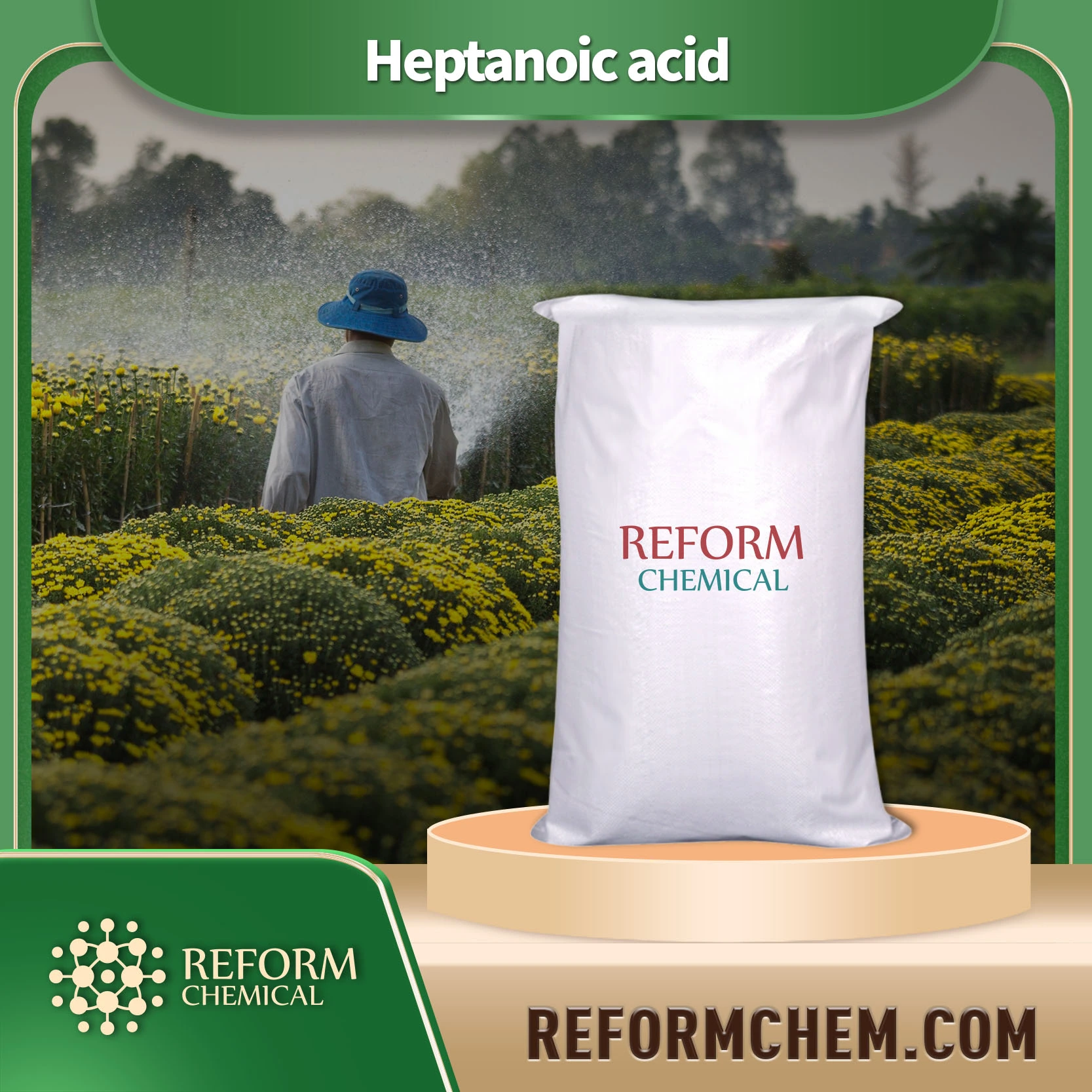 Heptanoic acid