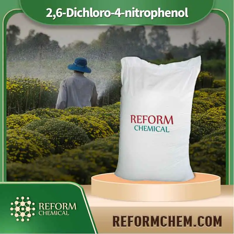 26 dichloro 4 nitrophenol 618 80 4